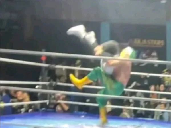 El luchador Hijo de Fishman